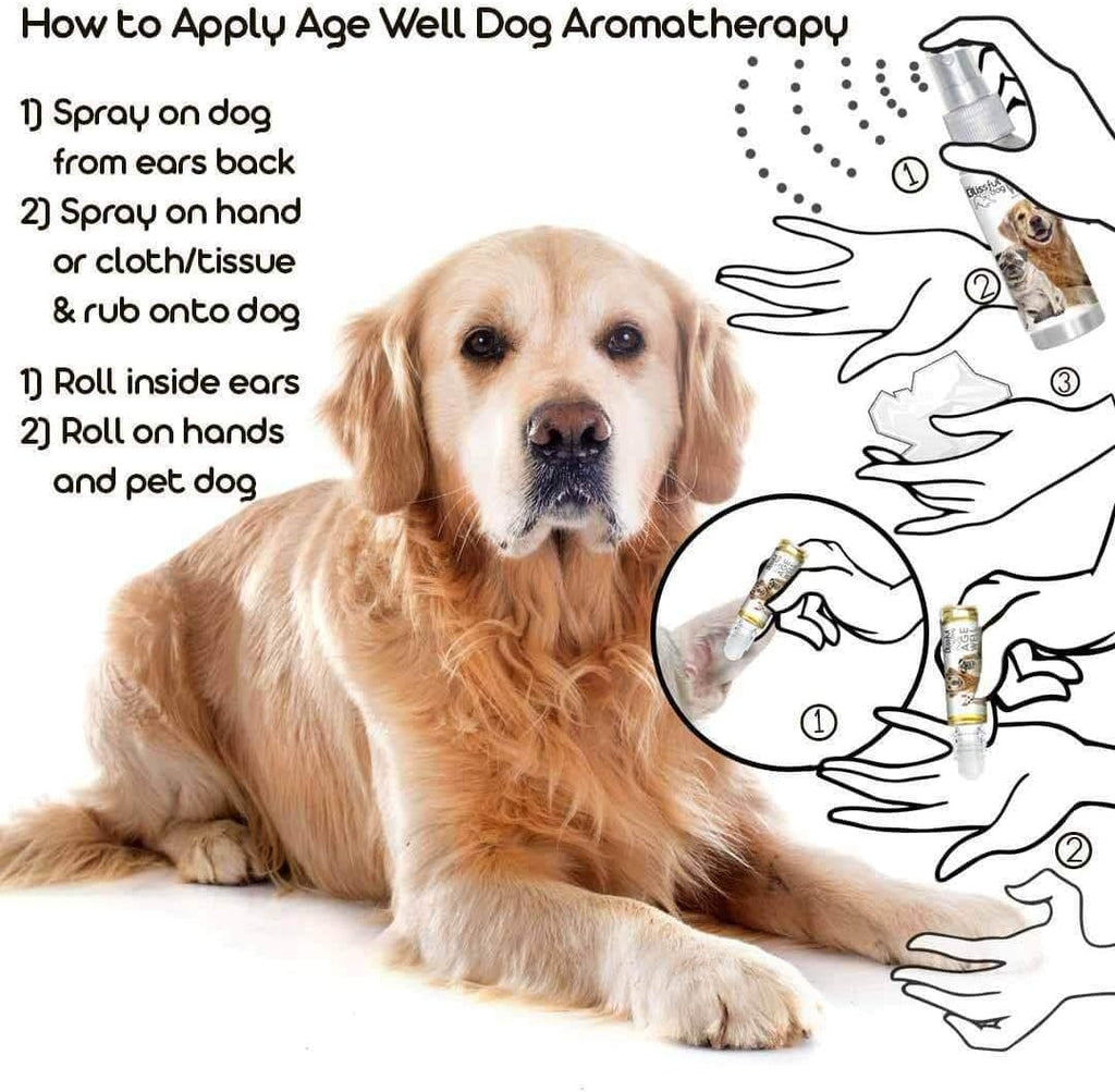 The Blissful Dog Golden Retriever Age Well Spray Aromaterapia