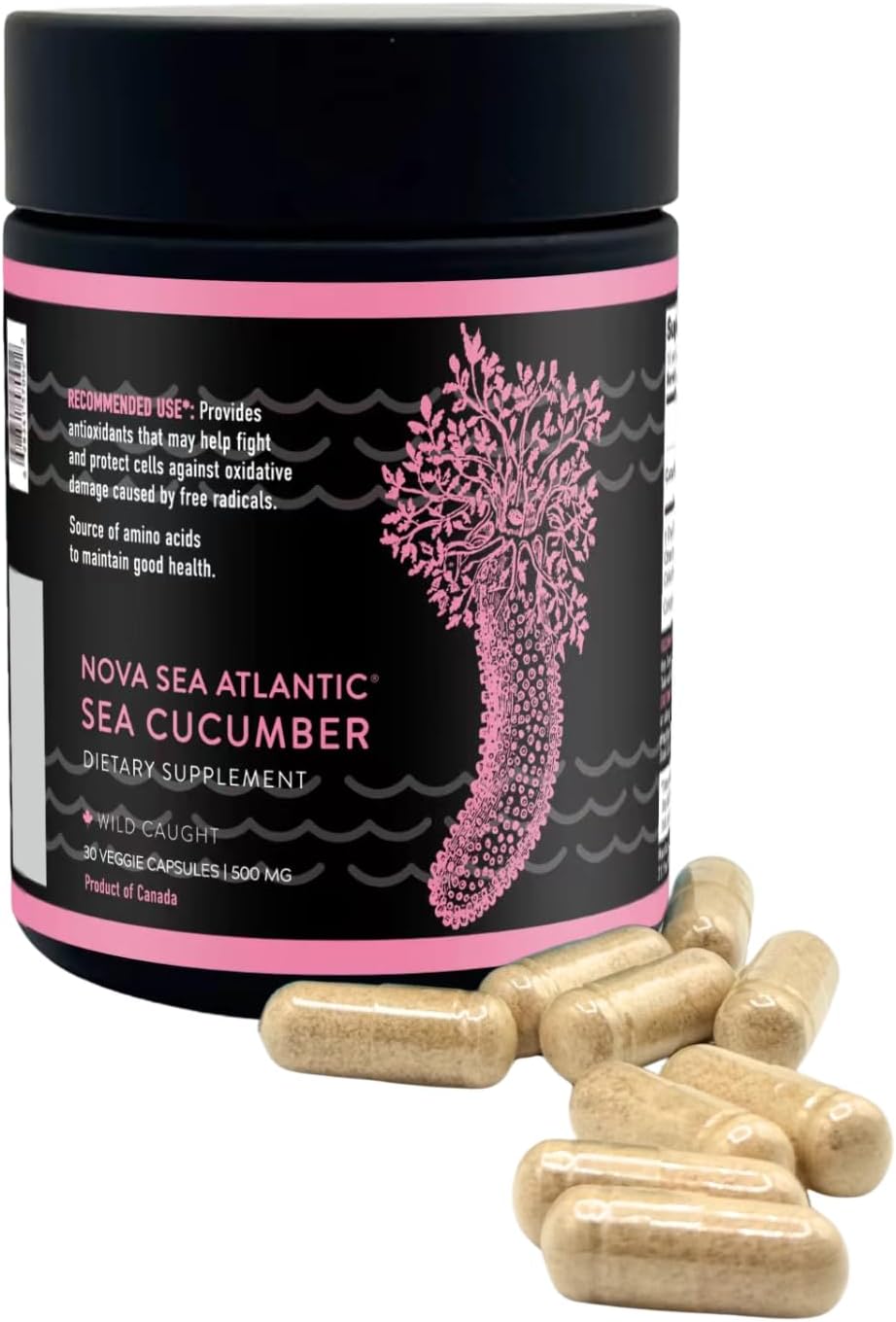 Suplemento de Pepino de Mar Silvestre con Vitaminas Fucosiladas y Minerales - 120 Cápsulas (3 Paquetes)