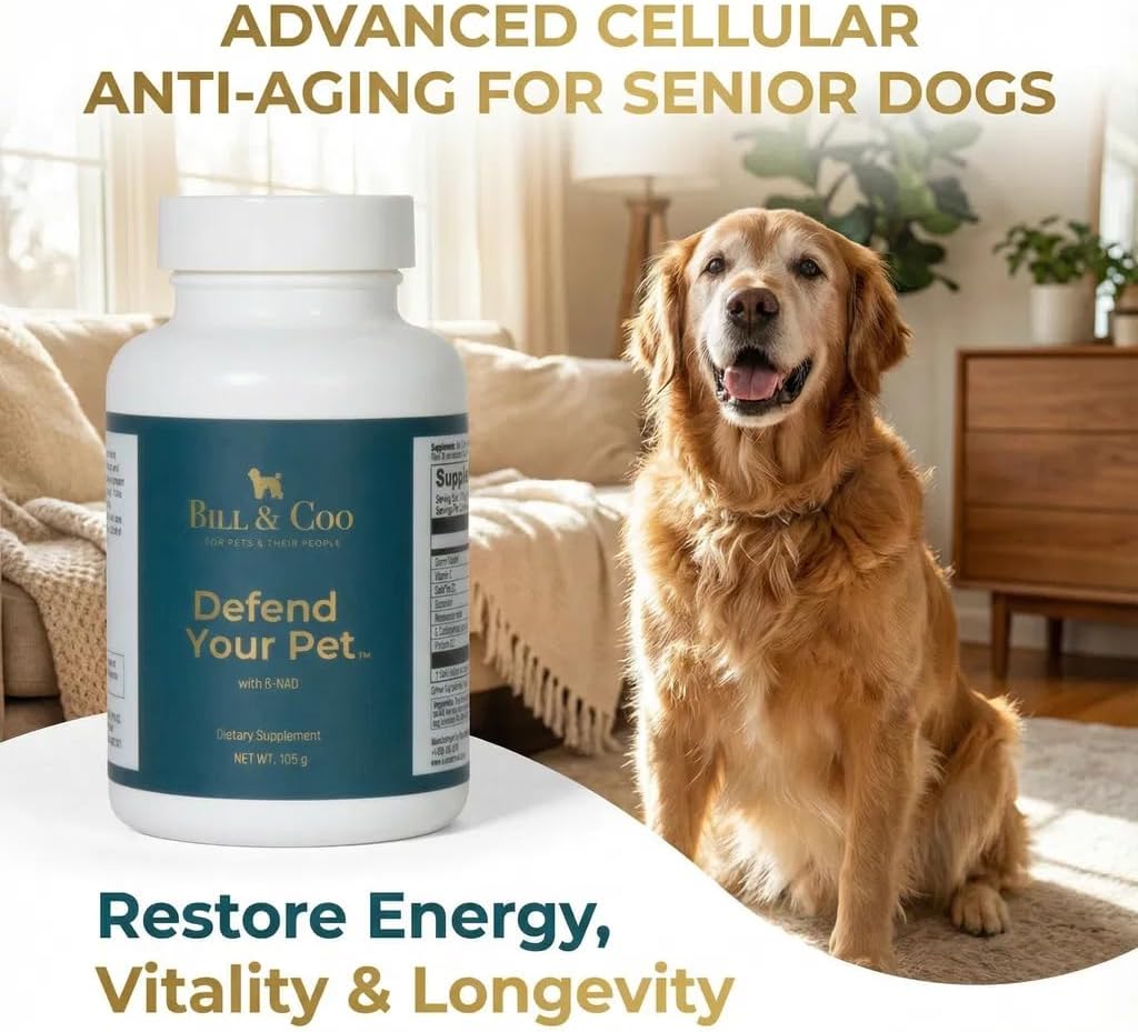 BILL & COO Defend Your Pet β-NAD Supplement for Senior Dogs – Advanced Cellular Anti-Aging with Vitamins C, D, K2, Probiotics & Digestive Enzymes – 105g