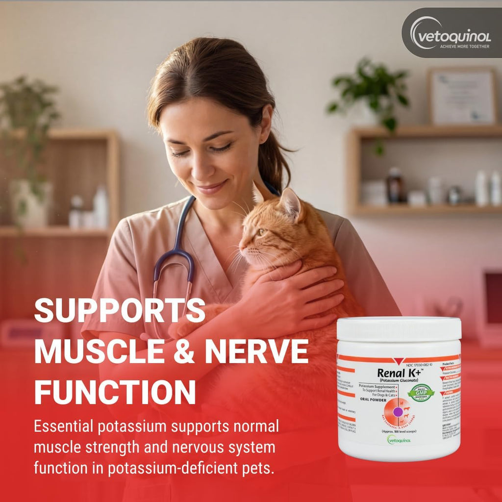 Vetoquinol Renal K - Suplemento de potasio en polvo para perros y gatos