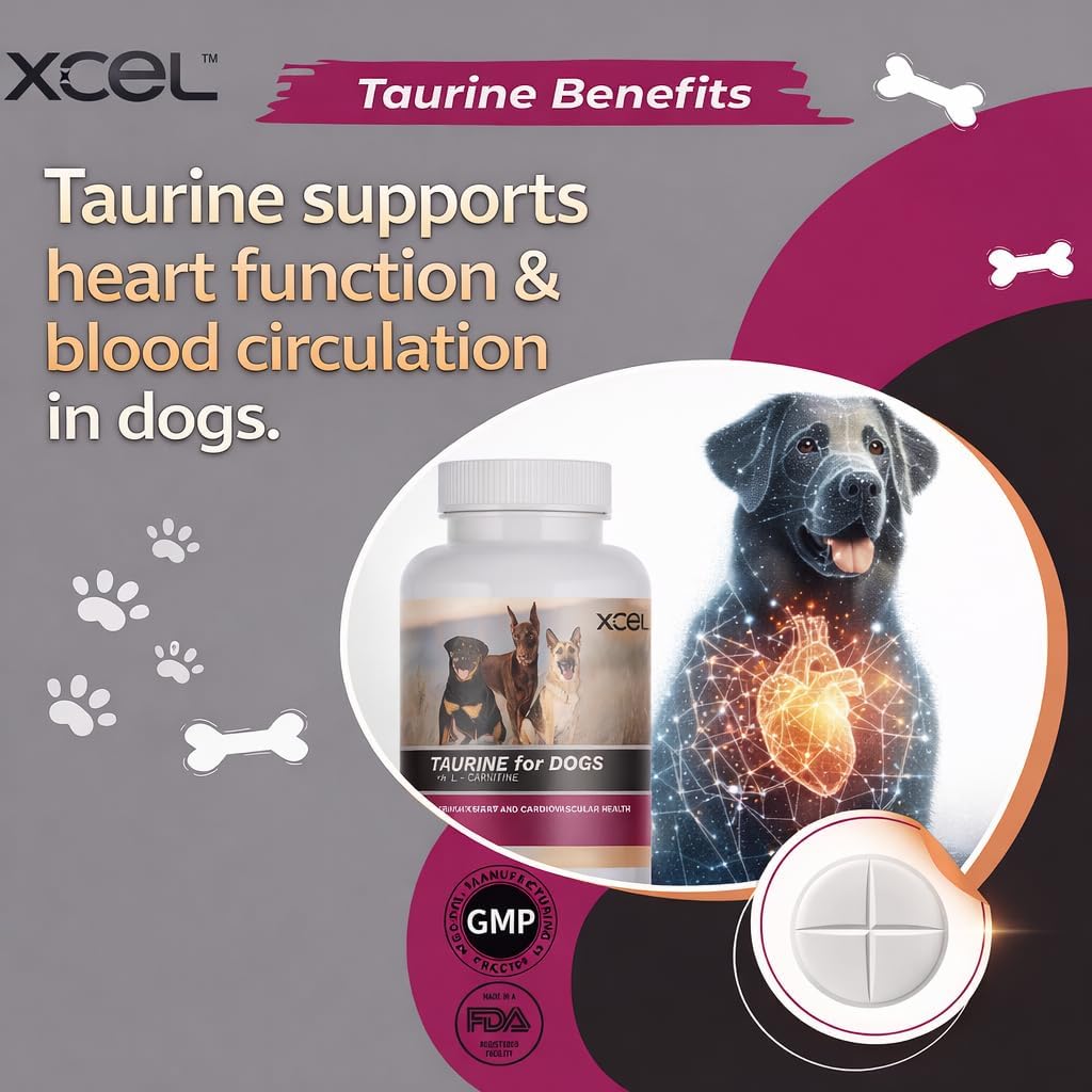XCEL Taurina para Perros 1000 mg con L-Carnitina, Comprimidos Ranurados (250 mg por sección)
