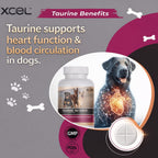 XCEL Taurina para Perros 1000 mg con L-Carnitina, Comprimidos Ranurados (250 mg por sección)