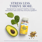 SOLARAY Mega B-Stress Complex, Sustained Release with 1000 mg Vitamin C, 60 Vegan Capsules