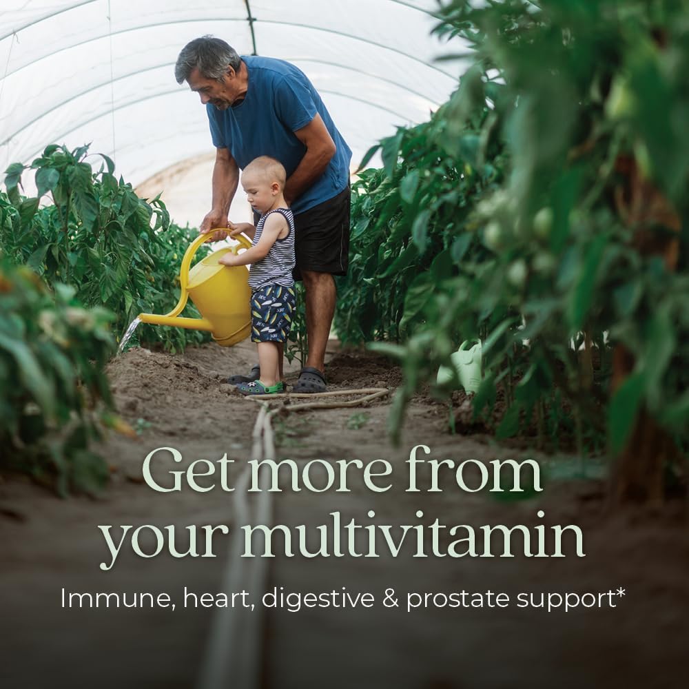 New Chapter One Daily Multivitamínico para Hombres 55+