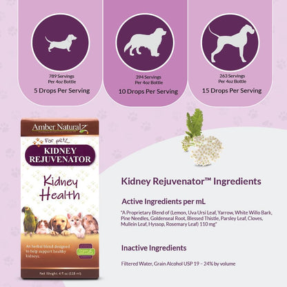 Amber NaturalZ Kidney Rejuvenator Suplemento – Acción calmante: La corteza de sauce blanco y la milenrama pueden – Image 4