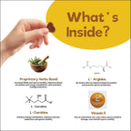 Suplemento de Salud Reproductiva para Perros - Snacks Blandos con L-Carnitina, Zinc, Ginseng y Vitaminas - Apoyo a la Fertilidad y Vitalidad - 120 unidades