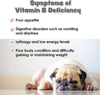 CobalaVet Vitaminas B12 y B9 para Perros y Gatos Pequeños - 60 Masticables