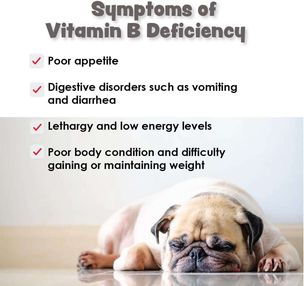 CobalaVet Vitaminas B12 y B9 para Perros y Gatos Pequeños - 60 Masticables