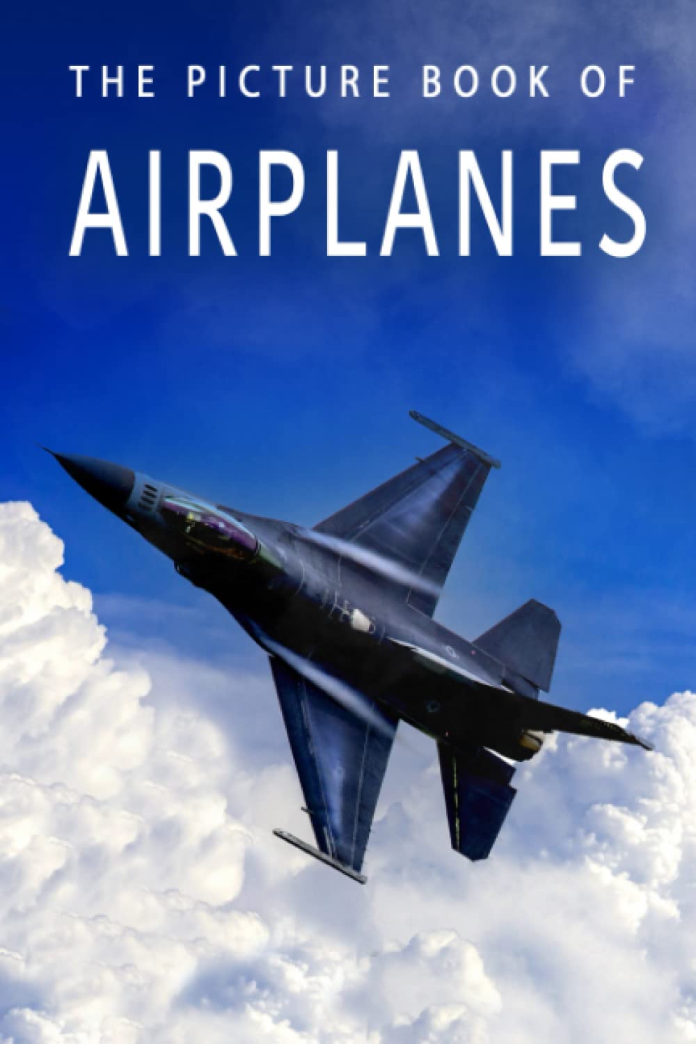 The Picture Book of Airplanes (Picture Books - Transportation)