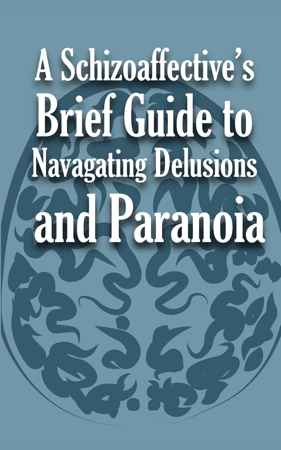 A Schizoaffective’s Brief Guide to Navigating Delusions and Paranoia - görsel 1