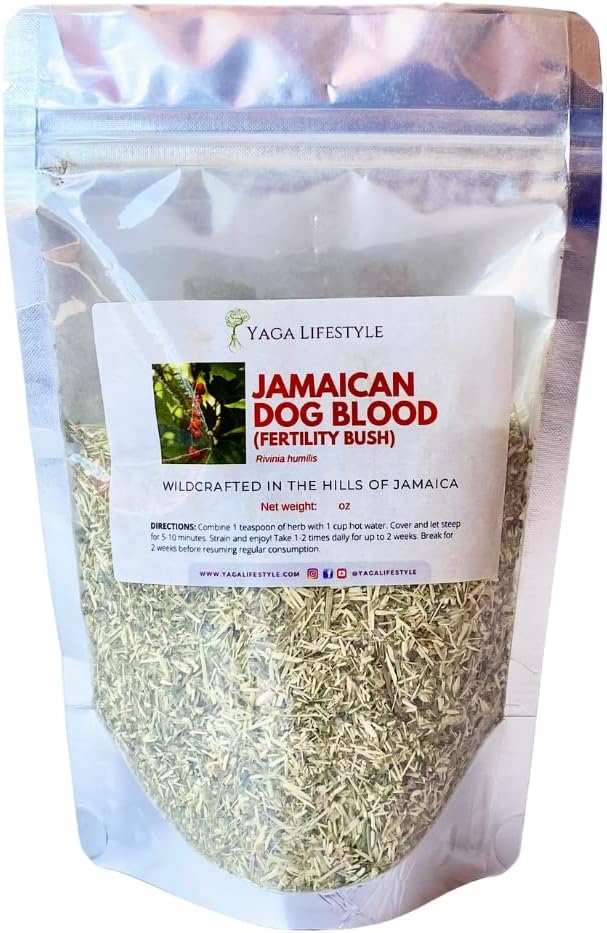 Jamaican Dog Blood Bush | Hierba para la Fertilidad