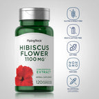 Piping Rock Flores de Hibisco | 120 Cápsulas | Extracto Concentrado | Suplemento Herbal | No Transgénico, Sin Gluten