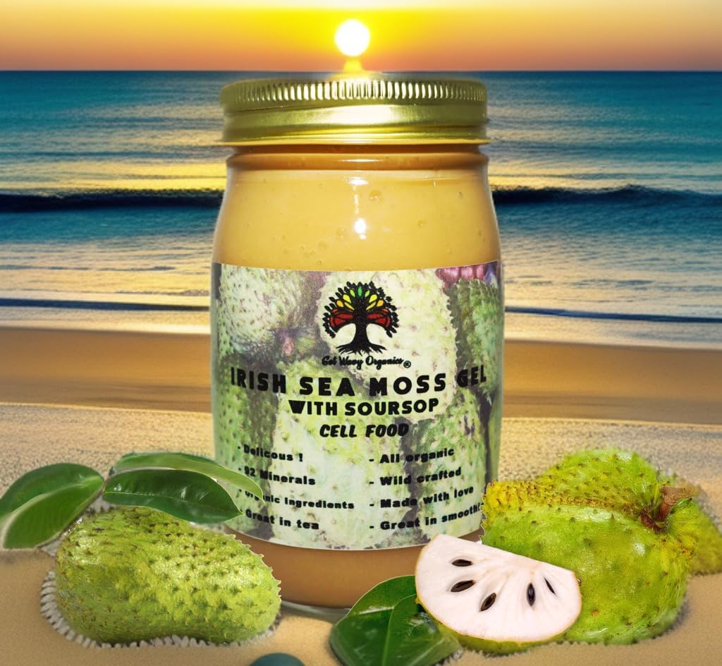 Irish Sea Moss Gel con Soursop – Orgánico, Vegano – Pack de 2