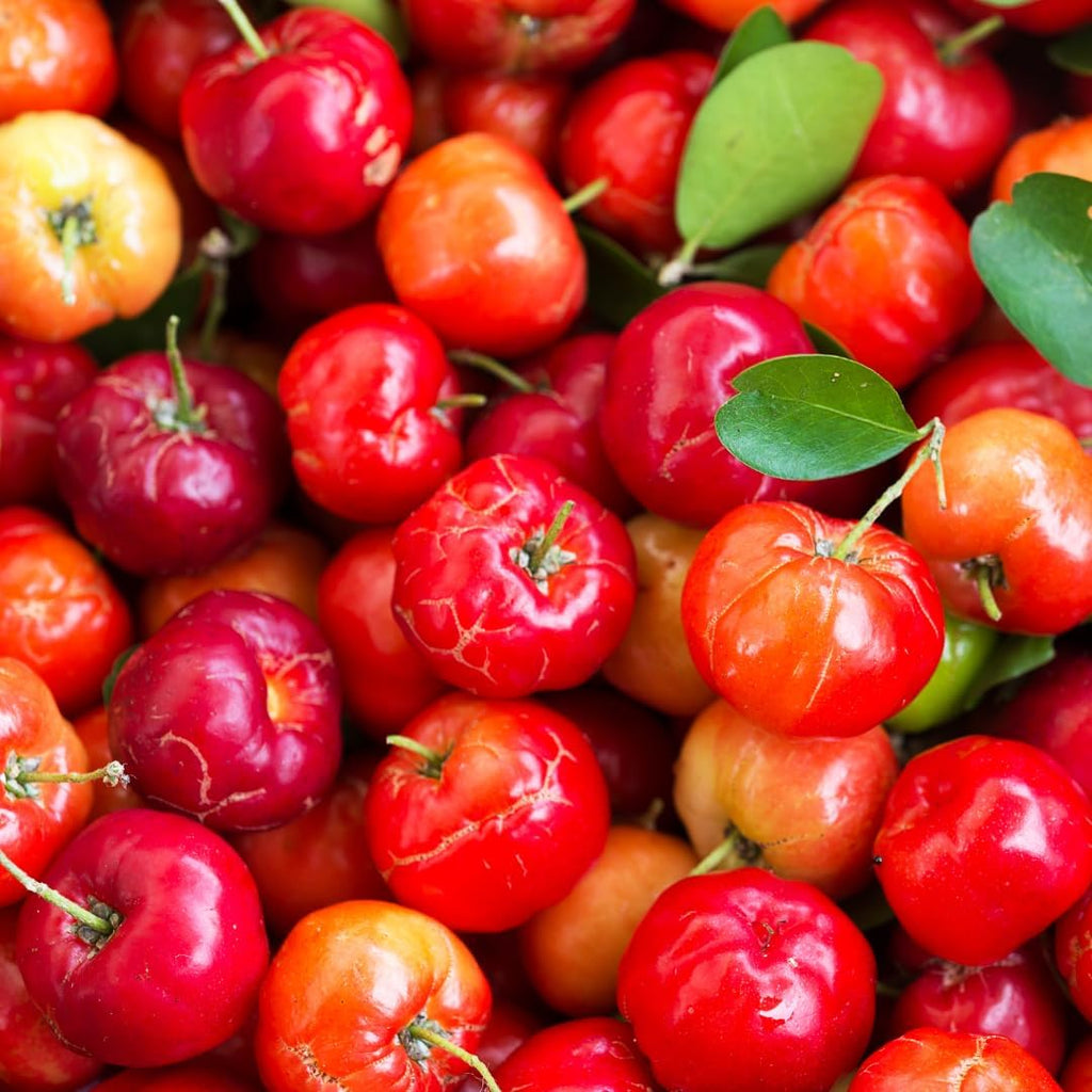 Pure Original Ingredients Acerola Cherry (100 Cápsulas) - Siempre Puro, Sin Aditivos ni Cargas