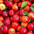 Pure Original Ingredients Acerola Cherry (100 Cápsulas) - Siempre Puro, Sin Aditivos ni Cargas