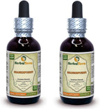 Shankhpushpi (Convolvulus Pluricaulis) Extracto Líquido de Hierba Entera - HerbalTerra, 2x118 ml