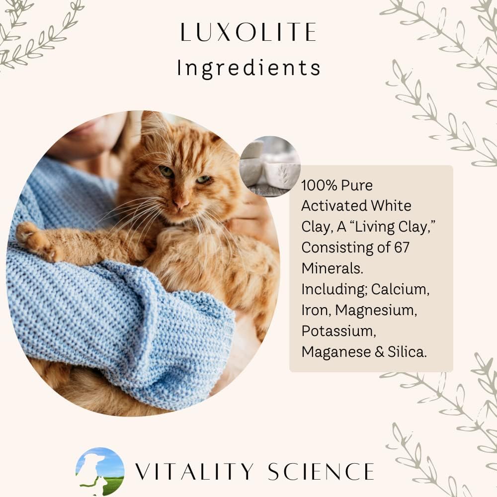 Vitality Science TRDV Protocol for Dogs | Probióticos para Diarrea y Soporte Digestivo | Tamaño Pequeño (Sabor a Carne)