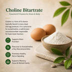 Brain Health Nootropic Supplement – Lion's Mane 200mg, Gotu Kola 200mg, Choline 80mg, Beetroots 100mg, Skullcap 400mg