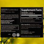 Advanced Bionetix Berberina 1500mg Micronizada con BerbeTal™ | 90 Cápsulas