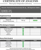Vitamina B1 (Tiamina Mononitrato) 100 mg – 250 Comprimidos Vegetales