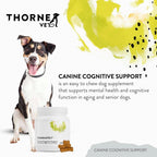 ThorneVet Apoyo Cognitivo Canino en Golosinas Blandas para Perros Mayores - 90 unidades