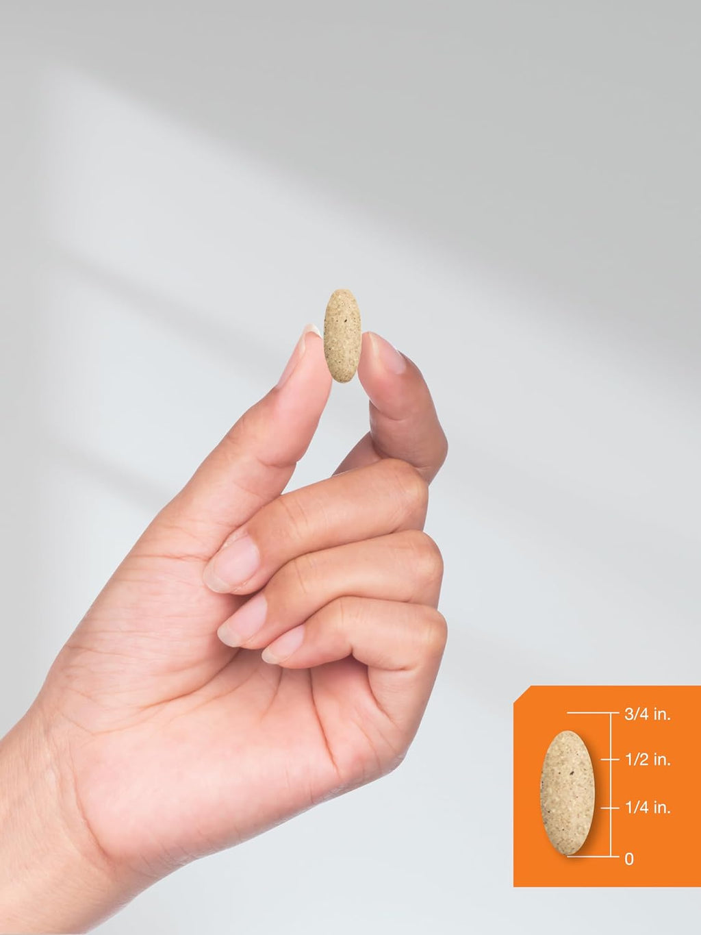 Horbaach Complejo B para Mujeres y Hombres | 150 Comprimidos | con Ácido Fólico y Vitamina C | Suplemento Sin Gluten y No Transgénico