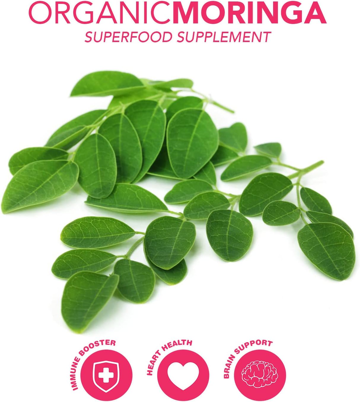 Ruji Naturals 6 en 1 Superfood Complemento para Perros con Moringa Orgánica - 90 Masticables