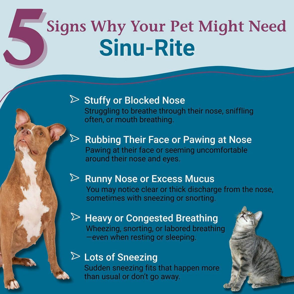 PetAlive Sinu-Rite - Alivio de la Congestión Nasal para Perros y Gatos - 180 comprimidos homeopáticos