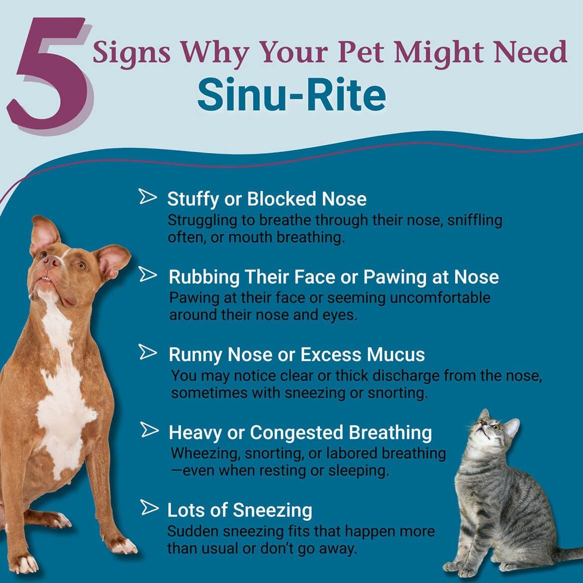 PetAlive Sinu-Rite - Alivio de la Congestión Nasal para Perros y Gatos - 180 comprimidos homeopáticos