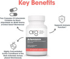 ARG Artemisinina - 200 mg de Extracto Concentrado de Ajenjo Dulce por Dosis - Suplemento Dietético Hipoalergénico y Vegetariano - 90 Cápsulas