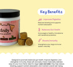 DLY Pets Probióticos para Perros - Salud Digestiva, Diarrea Ocasional - Sabor Pavo - 30 Masticables