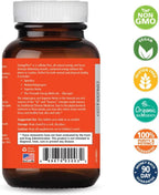 Energy Plus by Pure Essence - Suplemento de Energía Herbal Sin Cafeína - 120 Comprimidos