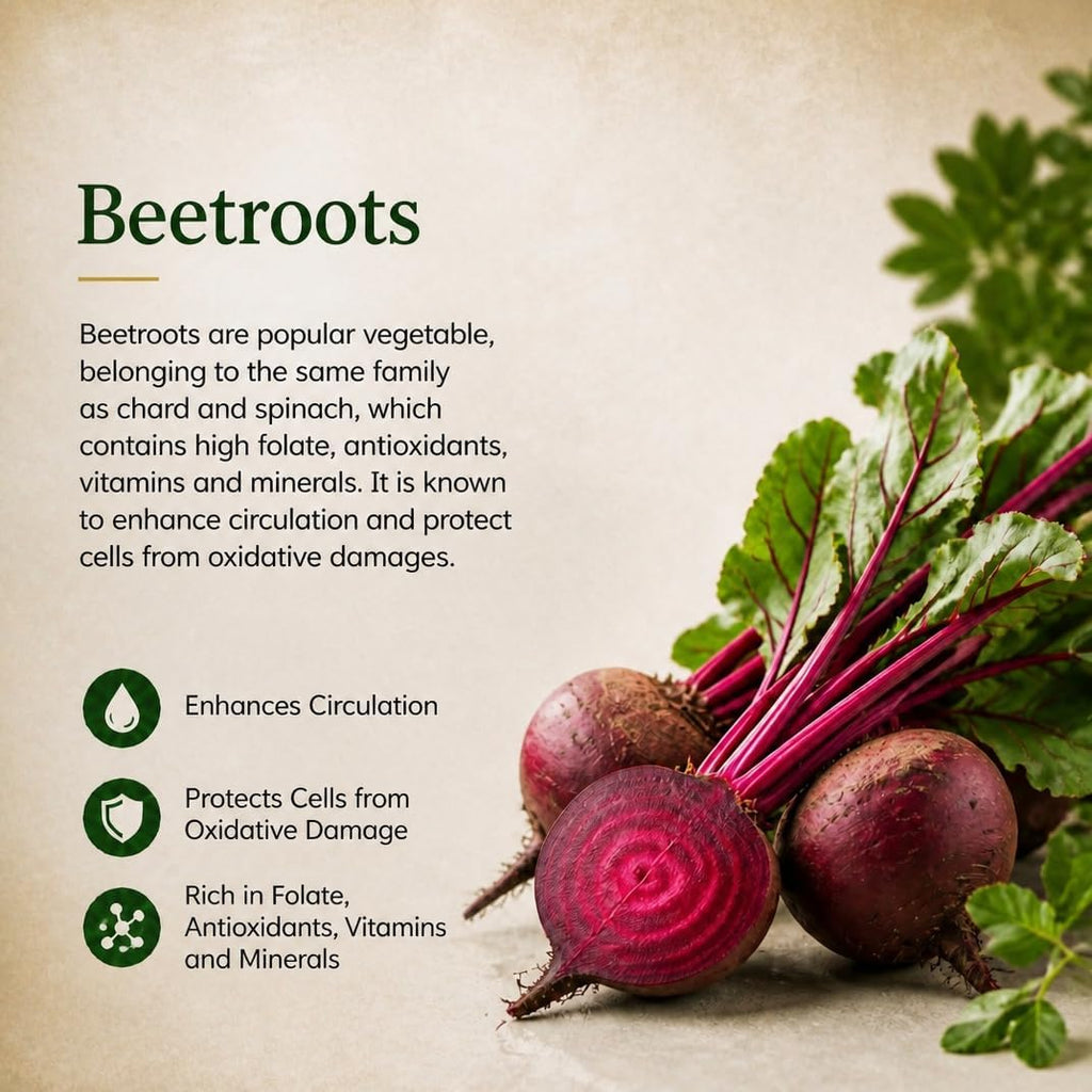 Brain Health Nootropic Supplement – Lion's Mane 200mg, Gotu Kola 200mg, Choline 80mg, Beetroots 100mg, Skullcap 400mg