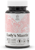 Lady's Mantle 60 Cápsulas | Suplemento Herbal de Alta Potencia con Alchemilla vulgaris