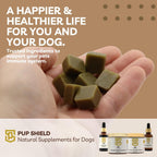 Pup Shield Fórmula de Apoyo Inmunológico Natural para Perros con Probióticos, Hoja de Olivo, Cola de Pavo y Equinácea, 30 Días