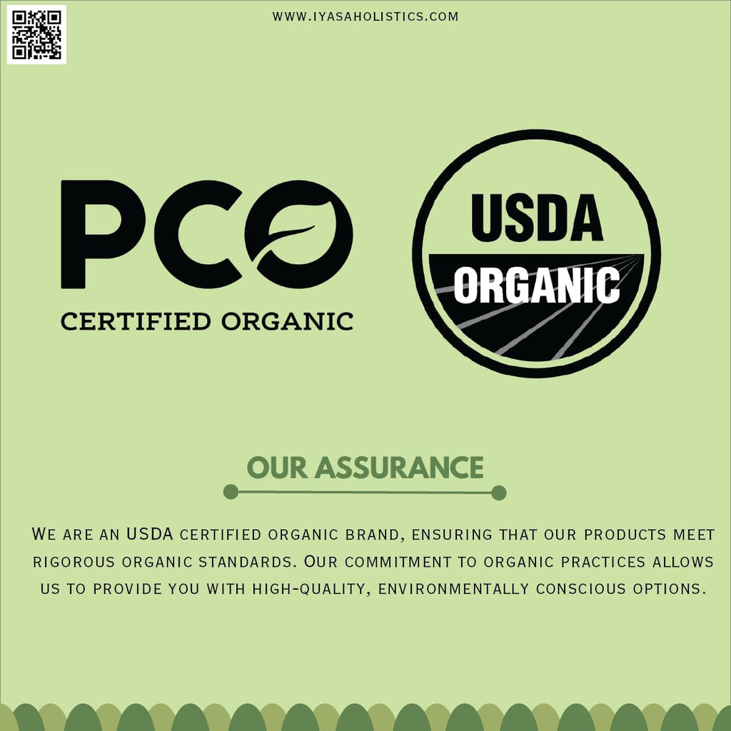 Polvo de Amla Orgánico 454 g - Iyasa Holistics