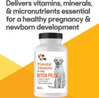 Bitch Pills | Vitaminas prenatales para perras | 120 comprimidos