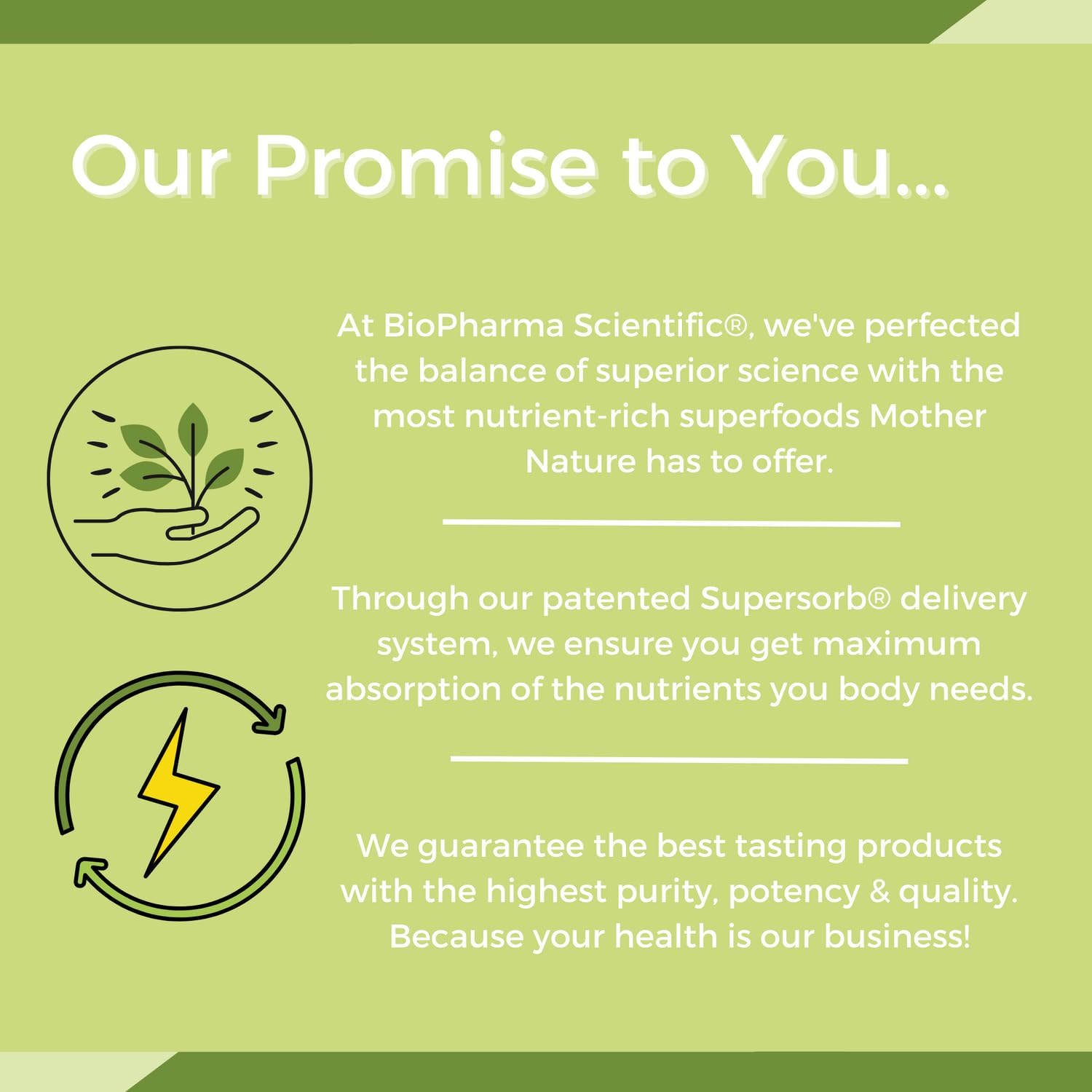 NanoMeal Plant-Based All-in-One Nutrition | Mezcla de Superalimentos | Tropical Fruit Blend | 10 Sobres | Proteína, Verduras y Omega
