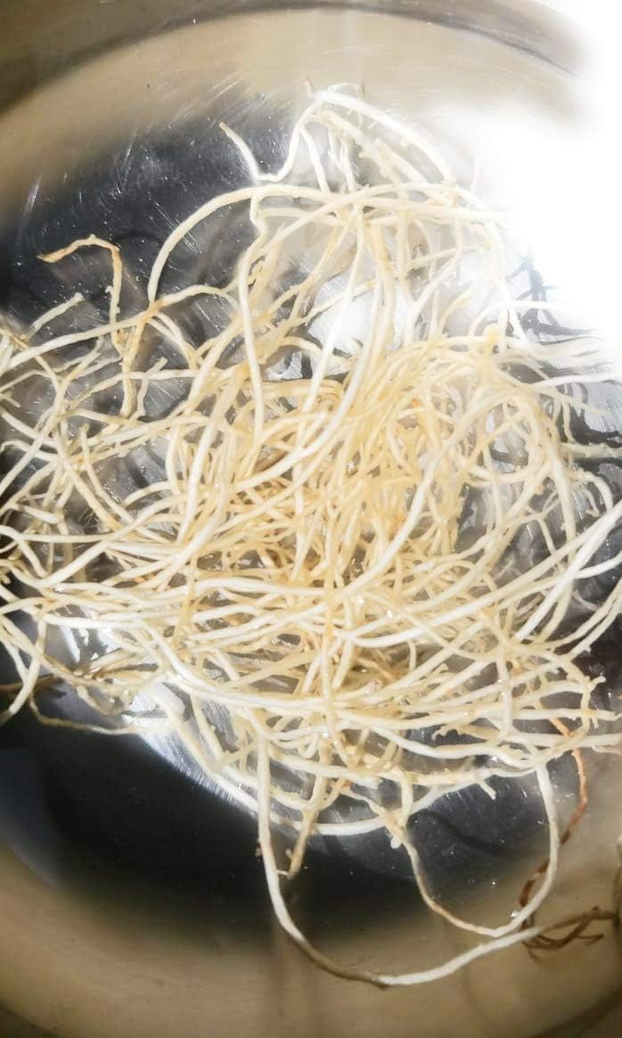 Polvo de Musgo Marino Silvestre - 227 g - Wildcrafted Irish Sea Moss - Sin Rellenos ni Aditivos