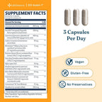 LifeSeasons GS Stabili-T - Suplemento para el Apoyo al Azúcar en Sangre - Circulación y Visión Saludables - con Cromo, Canela, Gymnema, Arándano y Ácido Alfa Lipoico - 90 Cápsulas