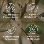 Nature's Sunshine Blood Pressurex 60 Capsules