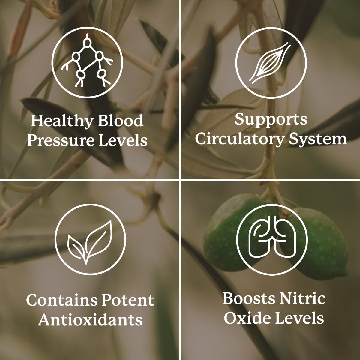 Nature's Sunshine Blood Pressurex 60 Capsules