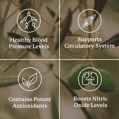 Nature's Sunshine Blood Pressurex 60 Cápsulas – Composición: Busca fórmulas con ingredientes naturales – Image 4