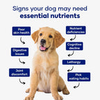 Aniwell Multivitamínico para Perros – Apoyo Inmunológico y Articular, Golosinas Blandas para Todas las Razas