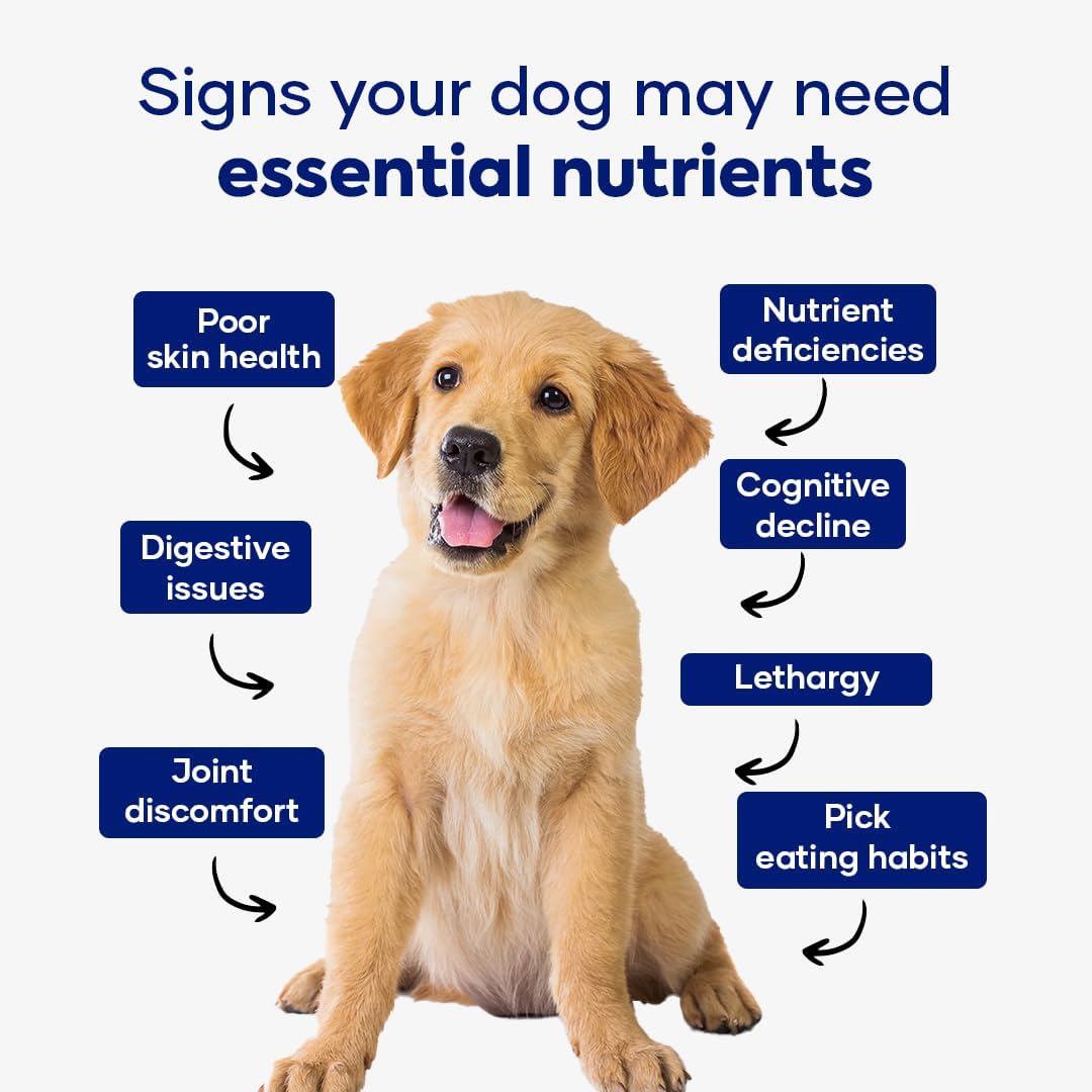 Aniwell Multivitamínico para Perros – Apoyo Inmunológico y Articular, Golosinas Blandas para Todas las Razas