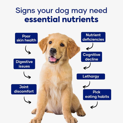 Aniwell Multivitamínico para Perros – Apoyo – Glucosamina y condroitina: El clorhidrato de glucosamina y el – Image 3