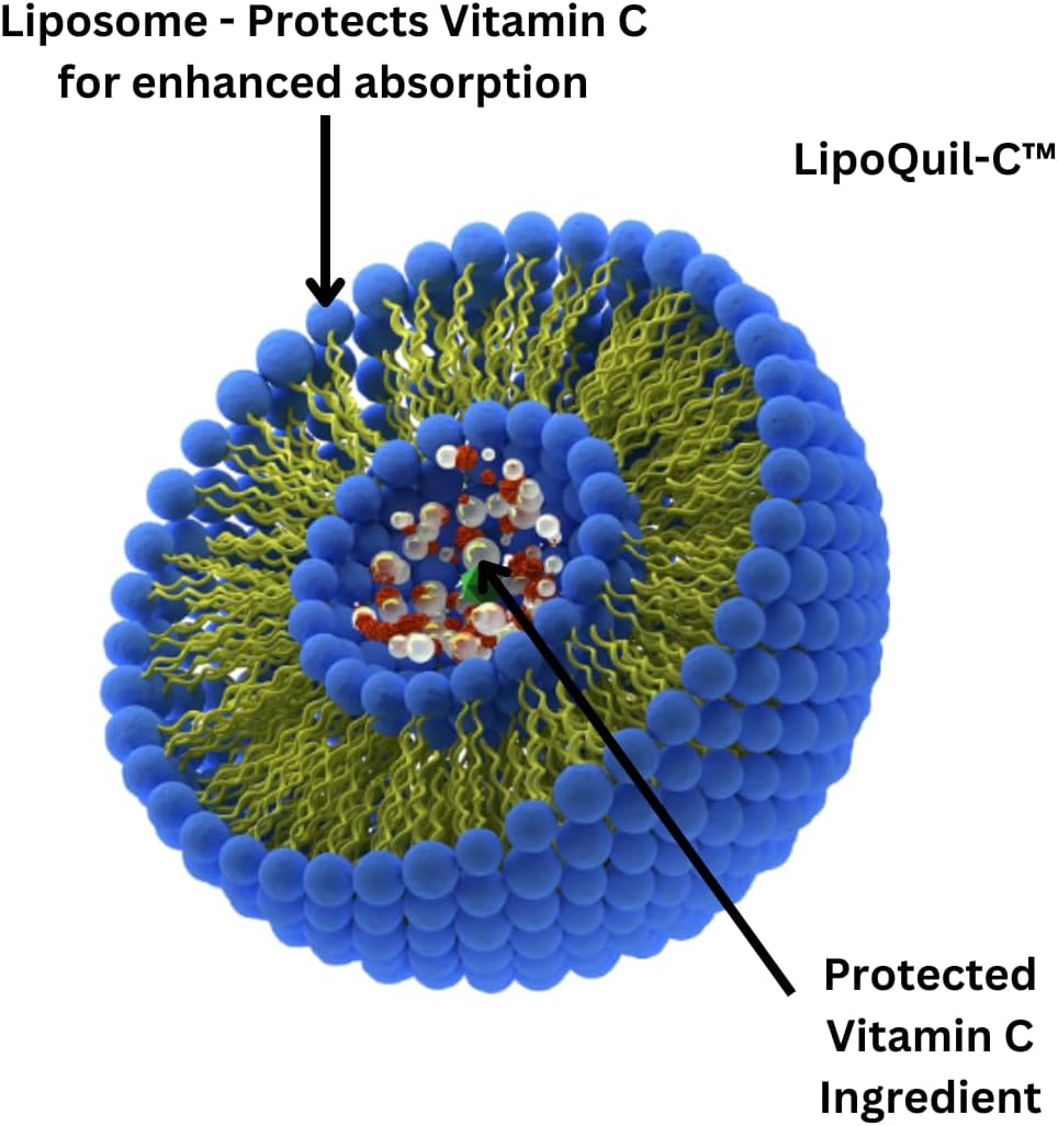 Research Labs LipoQuil-C™ Vitamina C Liposomal 1000 mg 240 Cápsulas