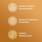 Dr. Mercola Maca Orgánica - Apoya la Energía y la Respuesta al Estrés - Raíz de Maca Peruana Gelatinizada - USDA Orgánico - No OGM - 60 Cápsulas
