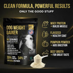 Dog Weight Gainer 90 Servicios - Suplemento para Aumento de Peso y Músculo para Perros - PET CARE Sciences