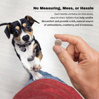 Cranberry & D-Mannose Urinary Tract Supplement for Dogs & Cats - Bladder & Urinary Tract Health Support - Cranberry Extract, D-Mannose & Vitamin C - 60 Chewable Tablets